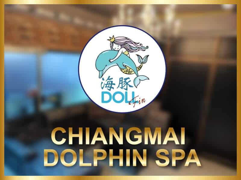dolphin-spa Dolphin Spa Chiang Mai logo